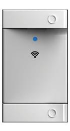 INTERRUPTOR WIFI 2 CANAL GRIS